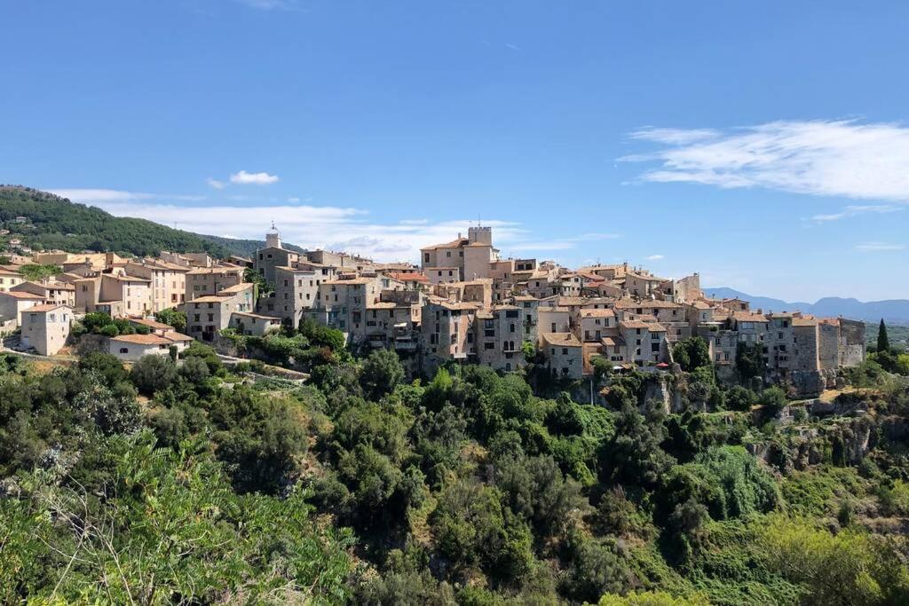 Appartement Au Calme Dans Un Espace Arbore Tourrettes-sur-Loup Buitenkant foto